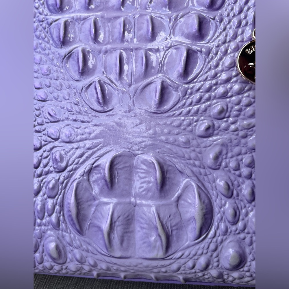 NWT BRAHMIN SET Small Caroline & Coin Wallet in GENTLE LAVENDER - Picture 11 of 17